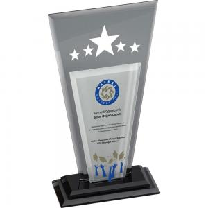 Kristal Plaket ( 13 x 25 cm )